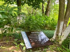 -广州神农草堂中医药博物馆