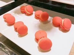 -大中华希尔顿酒店-念自助餐·嗨啤·小龙虾