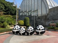 -石排湾郊野公园