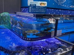 -永辉超市(嘉定宝龙广场店)