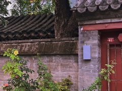 -春风习习
