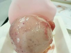 -BLACKSWAN黑天鹅(环球店)