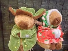 -天津水游城丽筠酒店