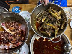 -金海椒罐罐鲢鱼(东方桂苑店)