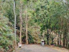 -滴水岩森林公园