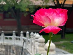 冰窖咖啡-故宫冰窖餐厅