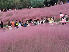 -牛岗山公园