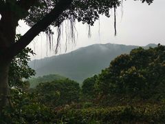 -广州市石门国家森林公园