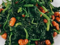 果仁菠菜-听涛雅苑百味饺子老家菜馆