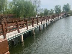 -金色田园农家乐餐厅