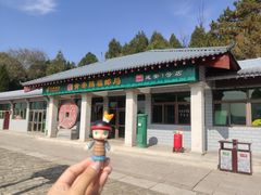 -黄帝陵