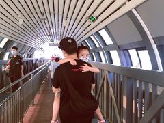 -珠江夜游广州塔·中大码头