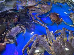 -恒达综合农贸市场(黄山路店)