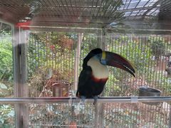 -南宫五洲植物乐园