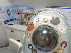 -博特宠物医院24h犬猫全科.骨科·异宠