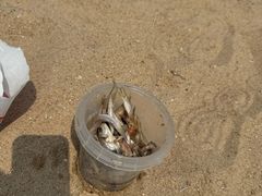 -海驴岛(荣成市)