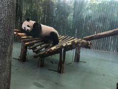 -上海动物园(地铁站)