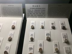 -古陶文明博物馆