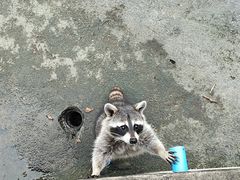 -祥源·阜阳生态乐园