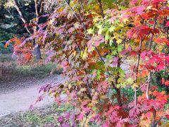 -长春市南湖公园