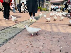 -王府井奥莱临潼小镇(临潼店)