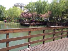 iphone_upload_pic-新江湾城公园
