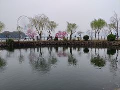 -无锡蠡湖国家湿地公园-蠡园