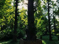 -国家植物园南园