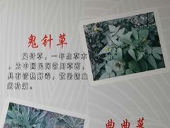 -黔府豆米火锅野菜馆(南马店)