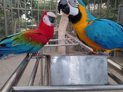 -南宫五洲植物乐园