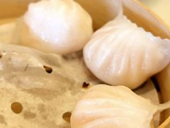 -美心皇宫(沙田大会堂店)