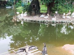 -深圳野生动物园