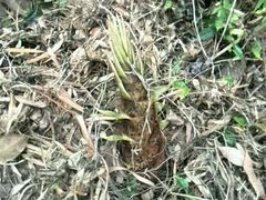 -宁波五龙潭景区