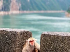 -白帝城·瞿塘峡景区