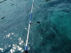 -小猫钓鱼海钓俱乐部(椰梦长廊店)