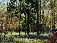 -徐家汇源景区-衡山公园