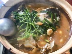 -九道菜有鸡鱼头(石鼓路店)