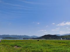 -四明湖
