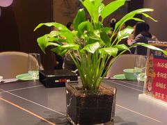 -巷子里·红谷宴(万象城店)