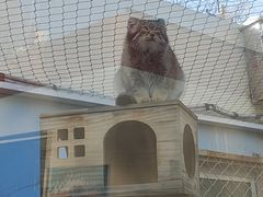 -青藏高原野生动物园