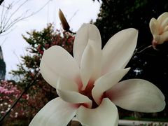 -南溪山景区