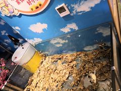 -加尔森烤肉海鲜·火锅烧烤自助