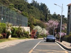 -小南山公园