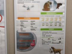 -瑞鹏宠物医院·普外科·影像科·皮肤科(城市山谷分院)