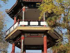 -莲花池公园