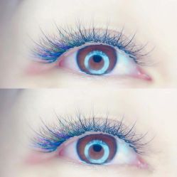 -ZX·美睫设计师汇聚店