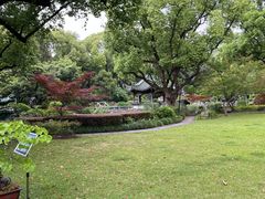 -申粤轩酒楼·三十年粤菜经典(丁香花园店)