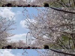 -自然谷恐龙园
