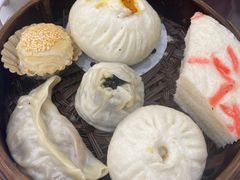 -富春茶社(国庆路店)