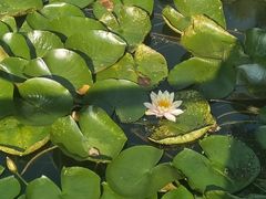 -西郊宾馆·1921餐厅